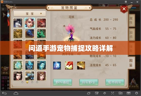 问道手游宠物捕捉攻略详解