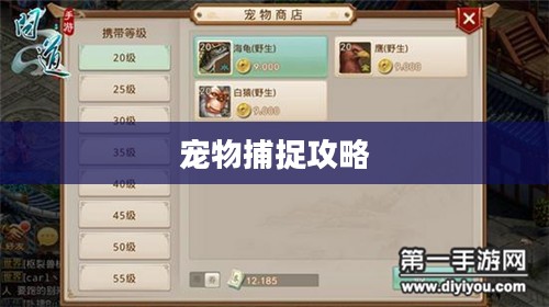 问道手游宠物捕捉攻略详解