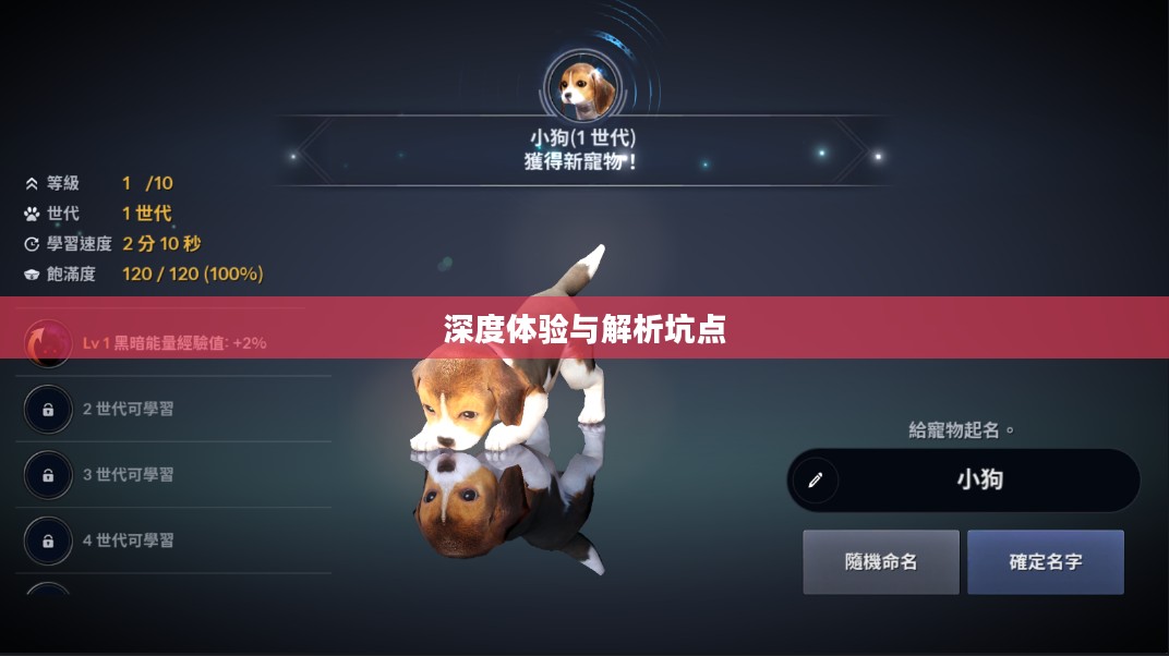黑色沙漠手游,深度体验与解析,是否存在坑点? 黑色沙漠手游,深度体验与解析,是否存在坑点?