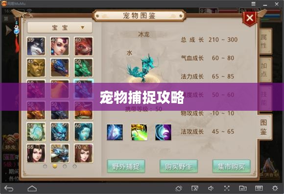 问道手游宠物捕捉攻略详解
