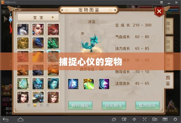 问道手游攻略，如何捕捉心仪的宠物