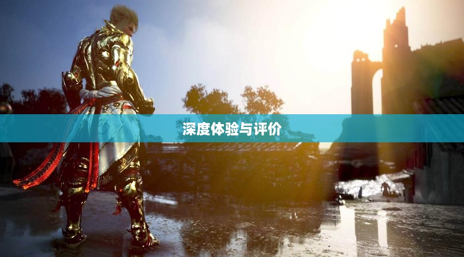 黑色沙漠手游，深度体验与客观评价