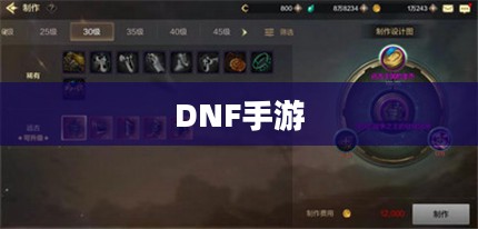 DNF手游,混团现象解析与玩家策略探讨 DNF手游,混团现象解析与玩家策略探讨