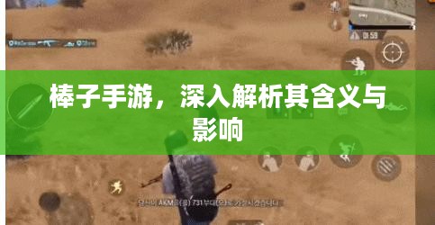 棒子手游,深入解析其含义与影响 棒子手游,深入解析其含义与影响
