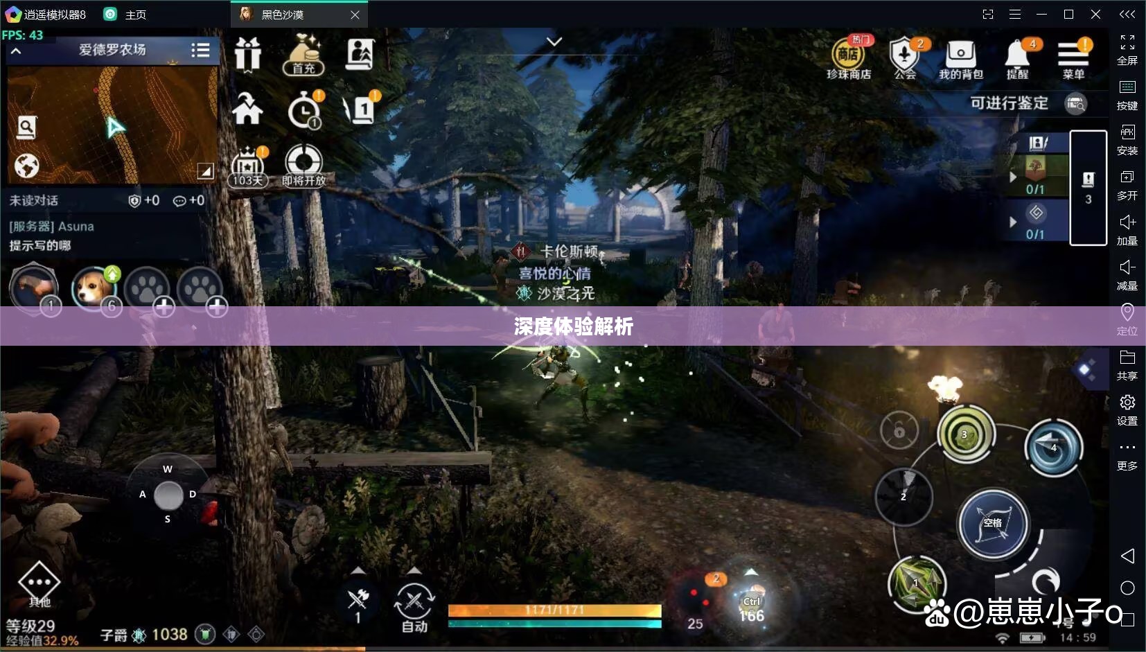 黑色沙漠手游,深度体验与解析 黑色沙漠手游,深度体验与解析