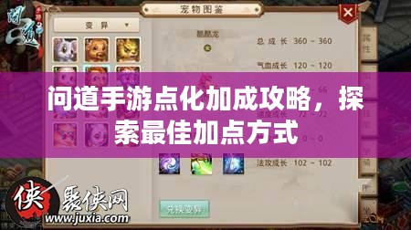 问道手游点化加成攻略，探索最佳加点方式