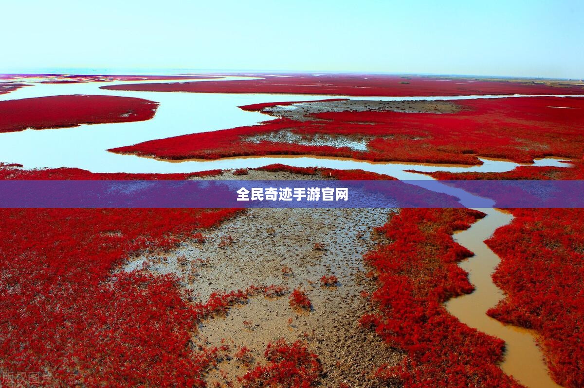 全民奇迹手游官网，探索奇迹，从手游开始