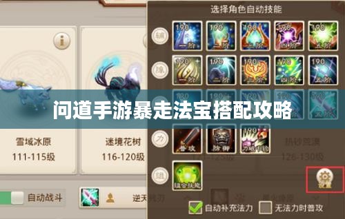 问道手游暴走法宝搭配攻略