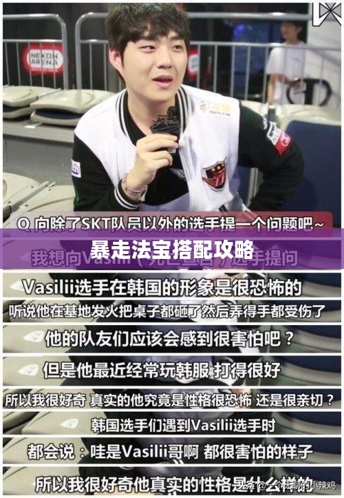 问道手游暴走法宝搭配攻略 问道手游暴走法宝搭配攻略
