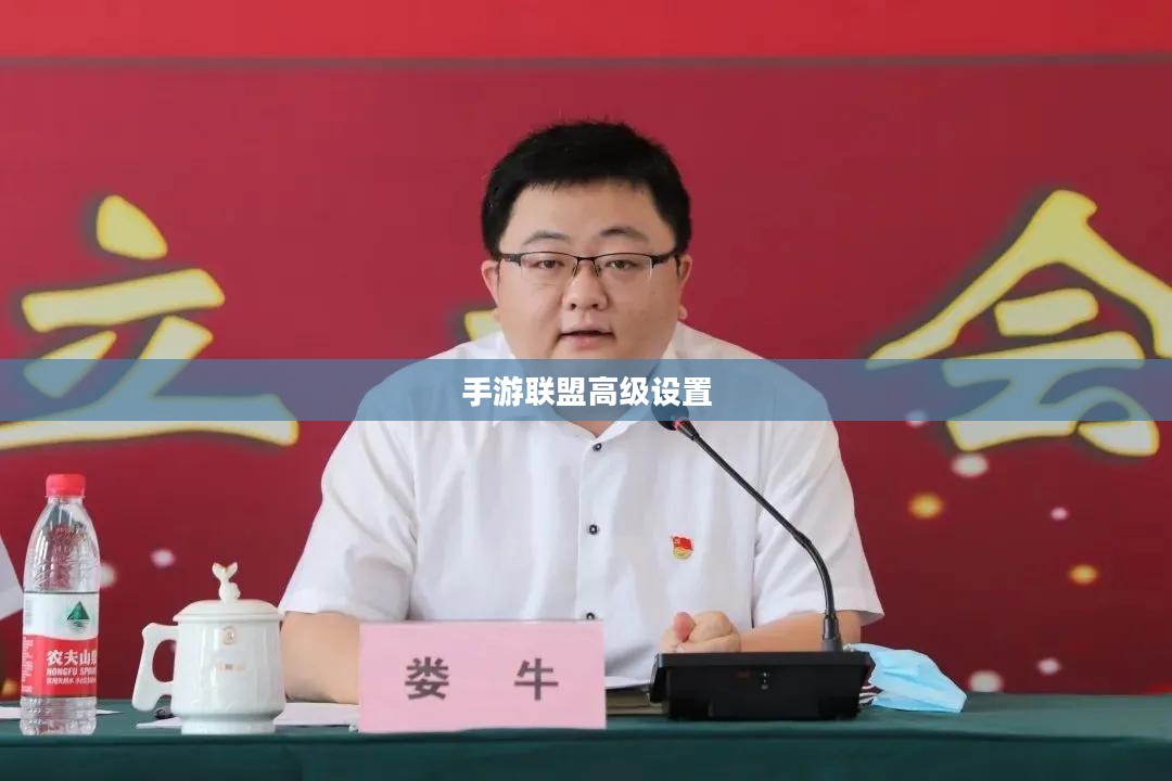 手游联盟高级设置详解，探索最佳游戏体验