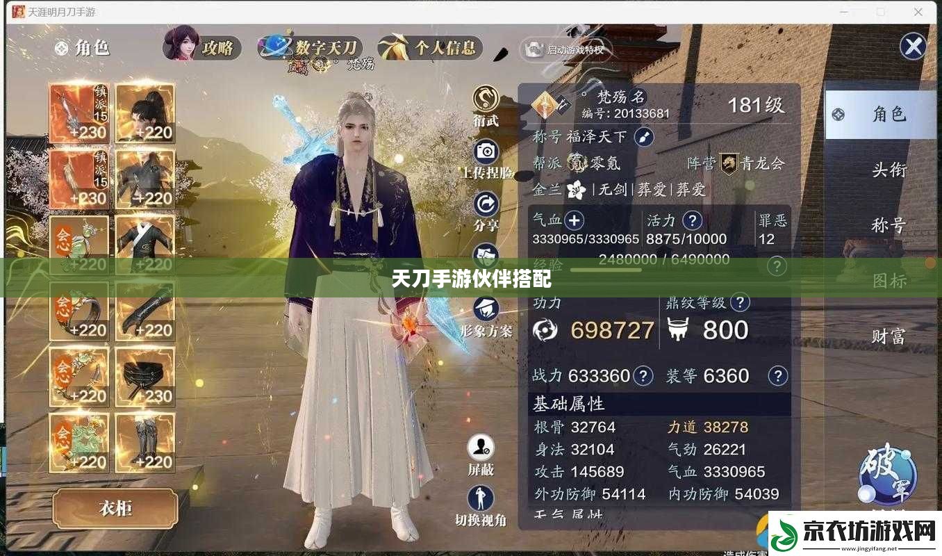 天刀手游伙伴带什么，策略选择与角色搭配的艺术