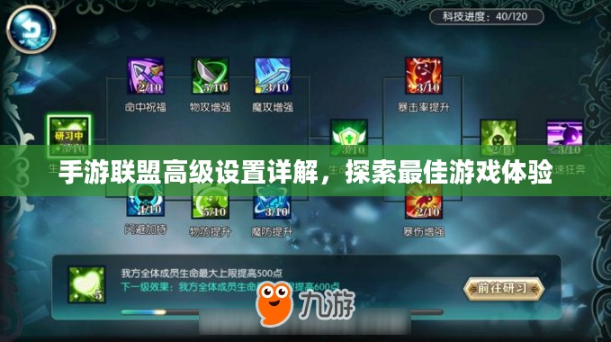 手游联盟高级设置详解，探索最佳游戏体验