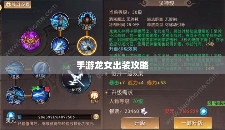手游龙女出装攻略,打造无敌战斗装备 手游龙女出装攻略,打造无敌战斗装备