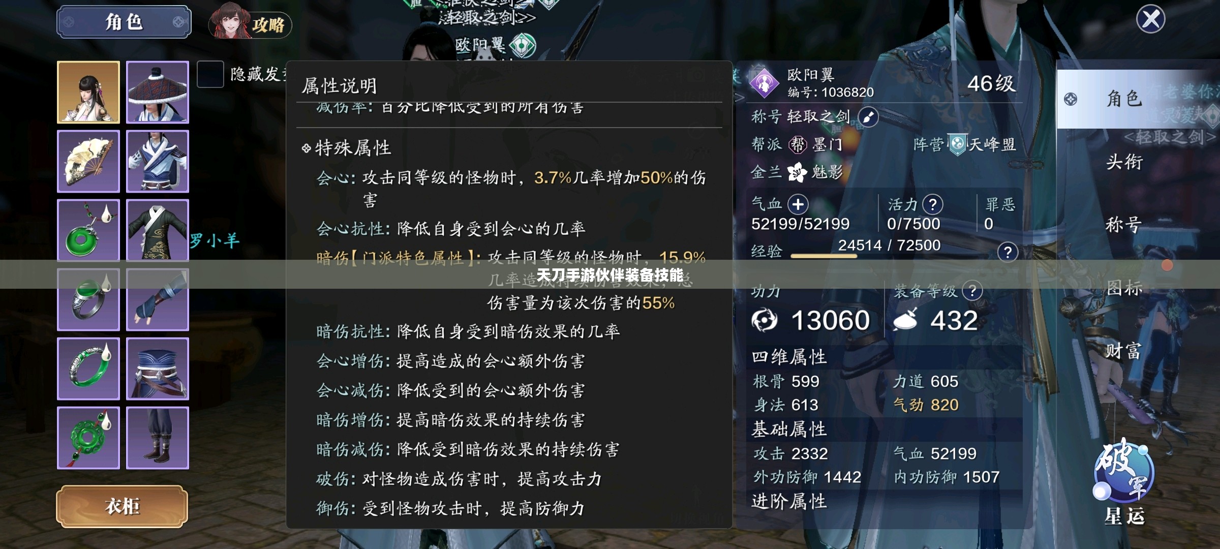 天刀手游伙伴带什么装备技能与策略选择