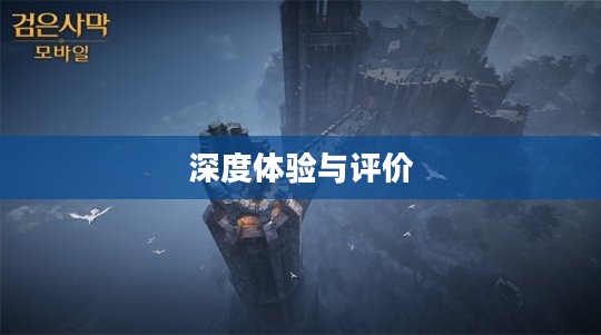 黑色沙漠手游，深度体验与客观评价