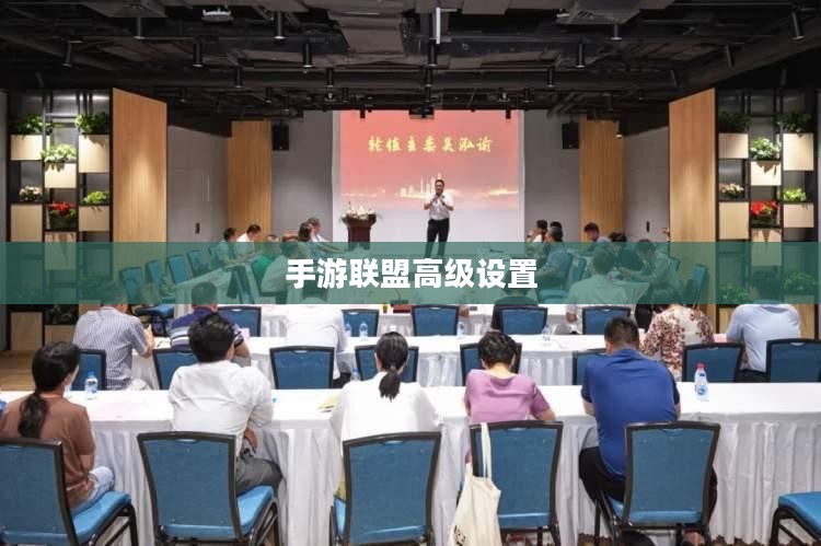 手游联盟高级设置详解，探索最佳游戏体验