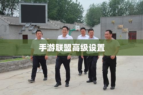手游联盟高级设置详解,探索最佳游戏体验 手游联盟高级设置详解,探索最佳游戏体验