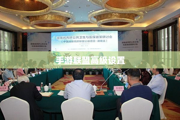 手游联盟高级设置详解，探索最佳游戏体验