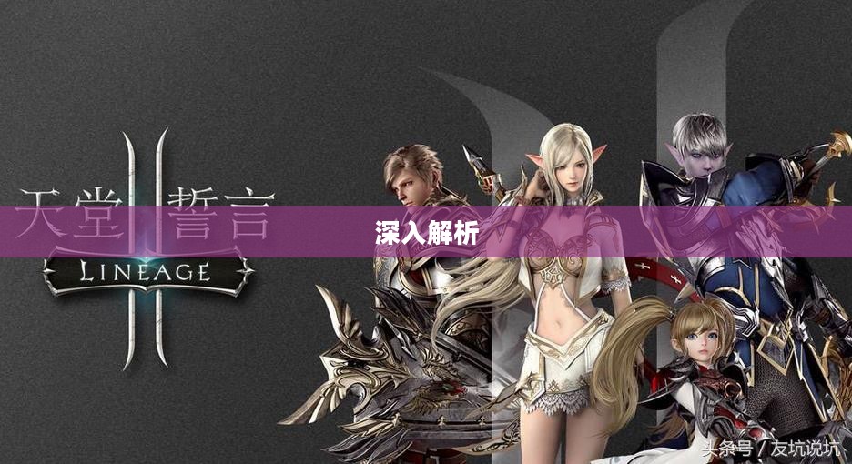 棒子手游，深入解析其含义与影响