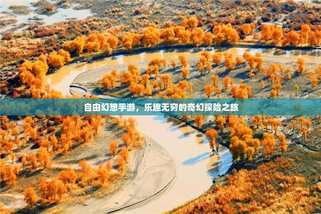 自由幻想手游，乐趣无穷的奇幻探险之旅