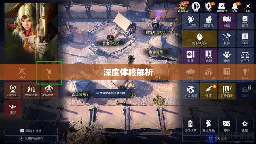 黑色沙漠手游,深度体验与解析 黑色沙漠手游,深度体验与解析
