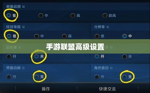 手游联盟高级设置详解,探索最佳游戏体验 手游联盟高级设置详解,探索最佳游戏体验