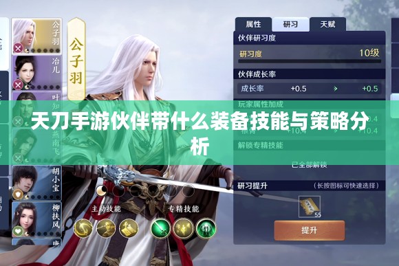 天刀手游伙伴带什么装备技能与策略分析