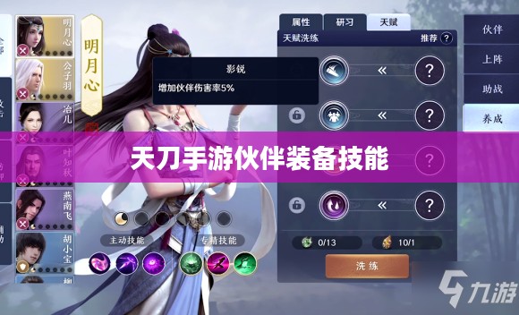 天刀手游伙伴带什么装备技能与策略分析
