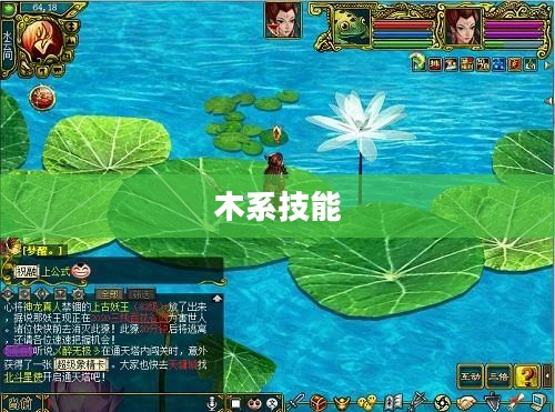 问道手游木系技能详解 问道手游木系技能详解