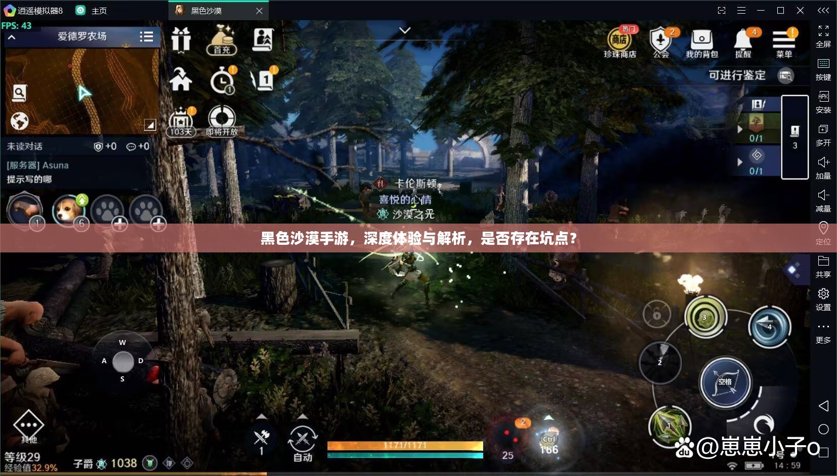 黑色沙漠手游，深度体验与解析，是否存在坑点？