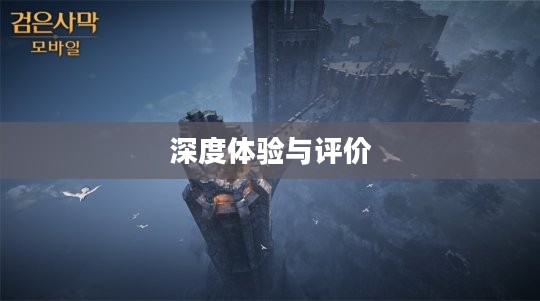 黑色沙漠手游,深度体验与客观评价 黑色沙漠手游,深度体验与客观评价