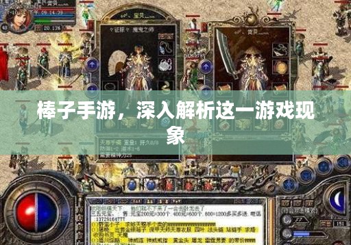 棒子手游，深入解析这一游戏现象