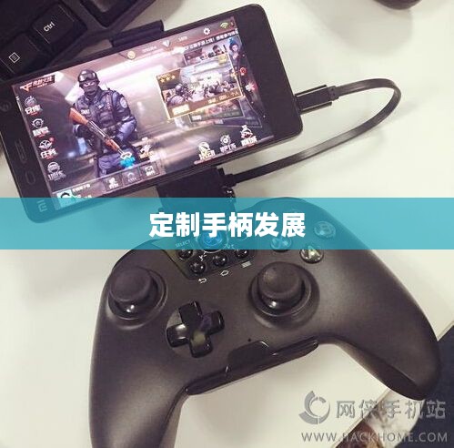 探究CF手游定制手柄的存在与发展