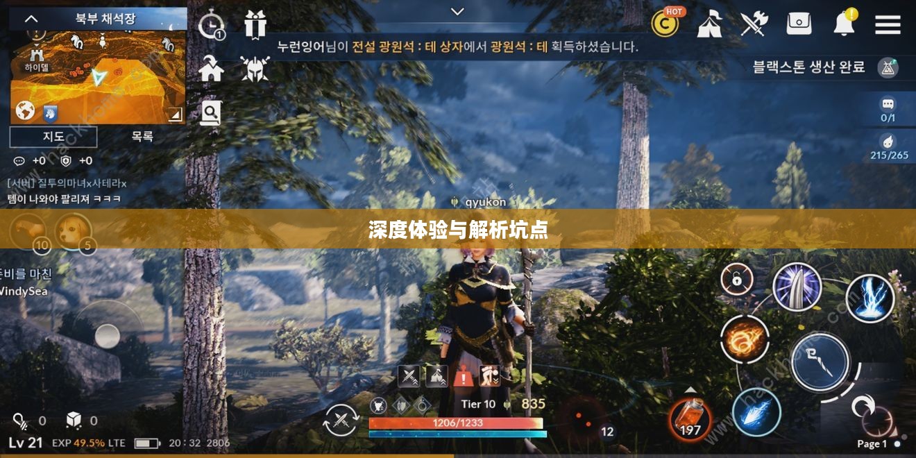 黑色沙漠手游，深度体验与解析，是否存在坑点？
