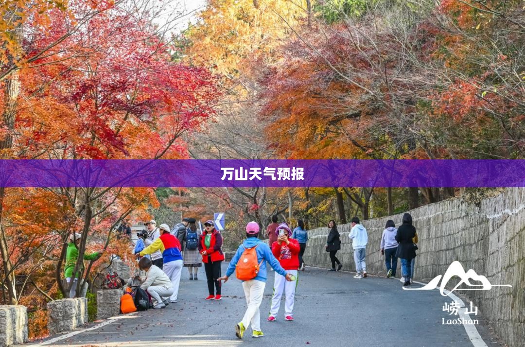 万山天气预报详解，气象数据与未来展望24小时概览