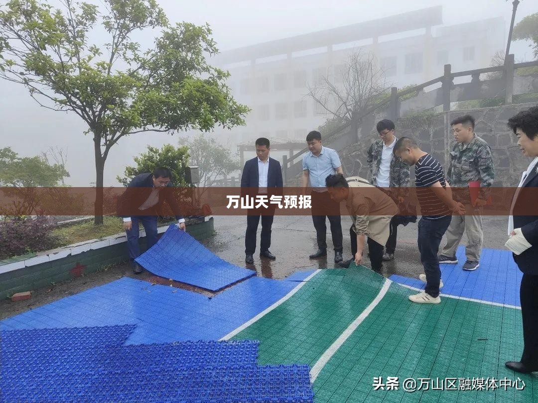 万山未来15天天气预报查询结果详解