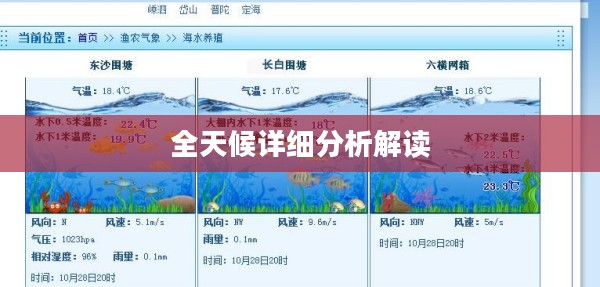 舟山市天气预报，全天候详细分析解读