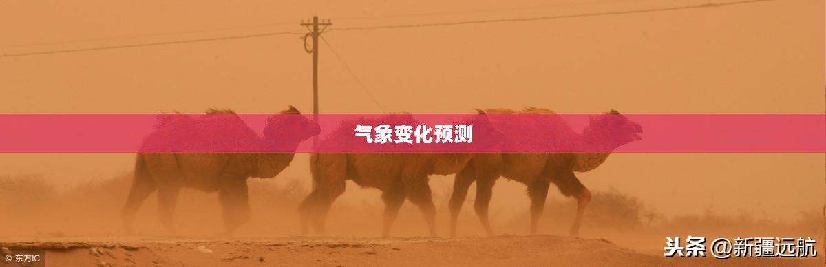 全州未来15天天气预报，洞悉气象变化，出行无忧准备