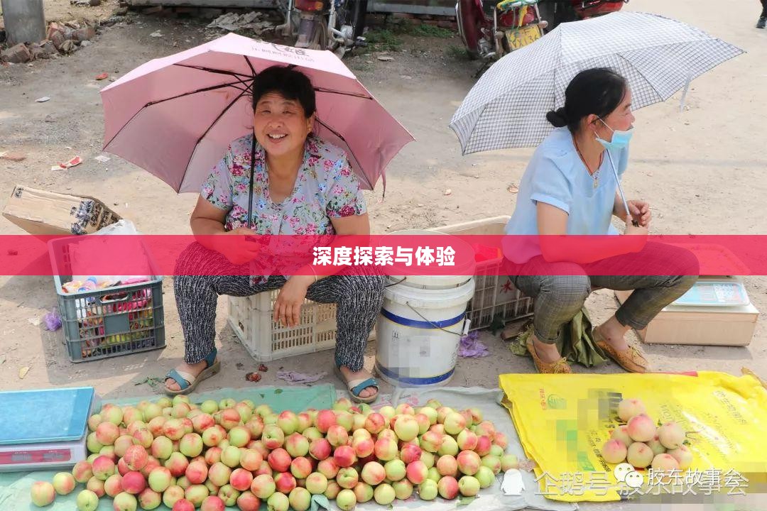 烟台莱阳天气，深度探索与体验