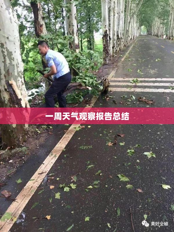 全椒最近一周天气观察报告总结
