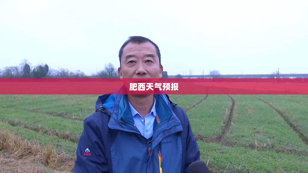 肥西一周天气预报，气象变化对日常生活的影响分析