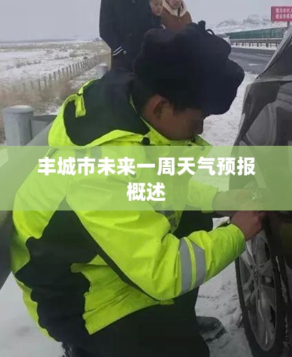 丰城市未来一周天气预报概述
