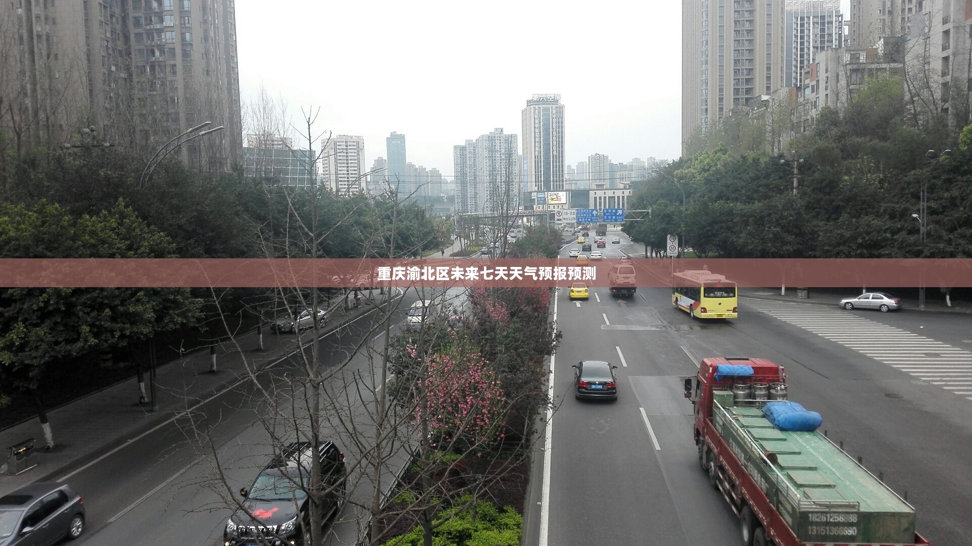 重庆渝北区未来七天天气预报预测