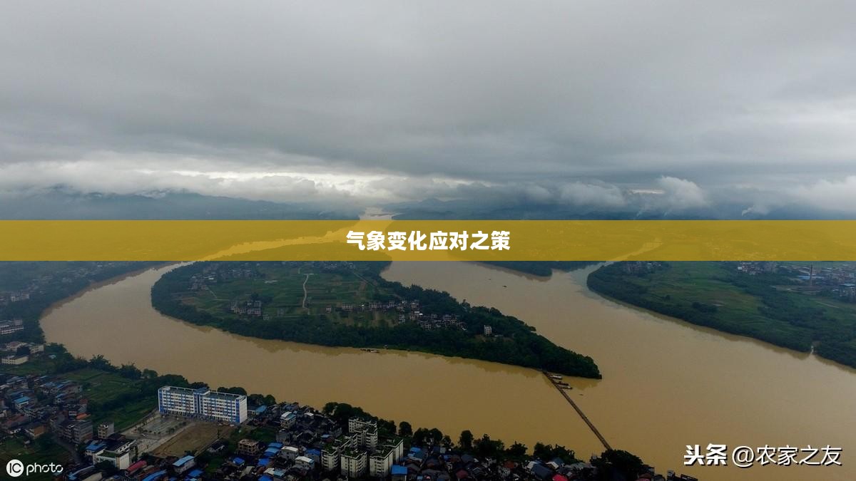龙胜天气预报更新，气象变化及应对之策