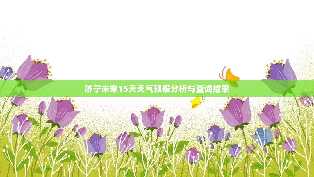 济宁未来15天天气预报分析与查询结果