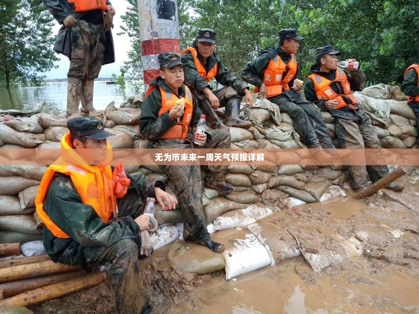 无为市未来一周天气预报详解