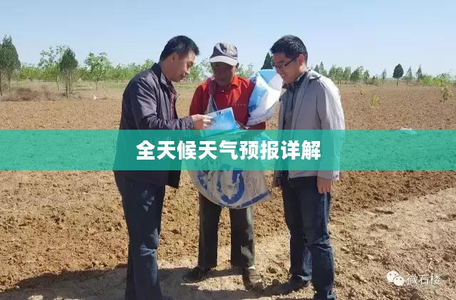 番禺区石楼天气预报全天候详解