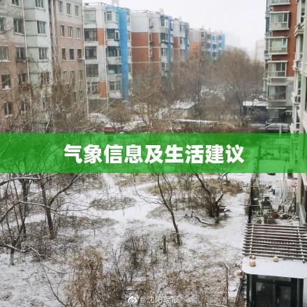 沈阳最新天气预报，气象信息及生活建议汇总