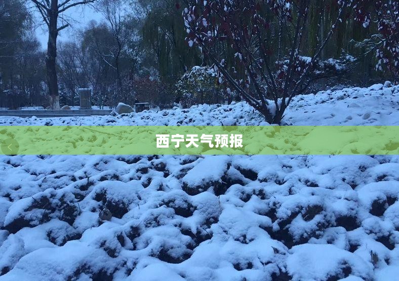 西宁未来一个月天气预报概览