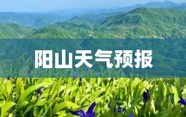 阳山未来15天天气预报及详细气象分析